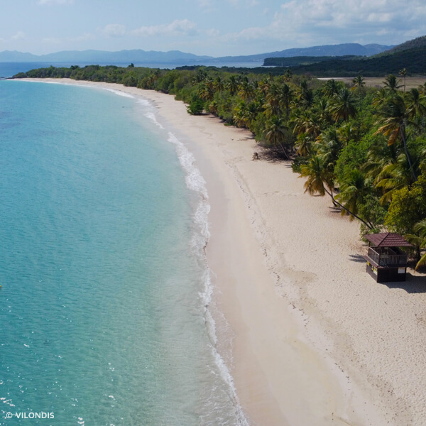 Plage de Sainte-Anne, Martinique - photographie par drone réalisée par ©Vilondis