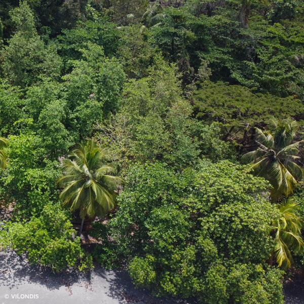 Anse Céron, Martinique - photographie par drone réalisée par ©Vilondis