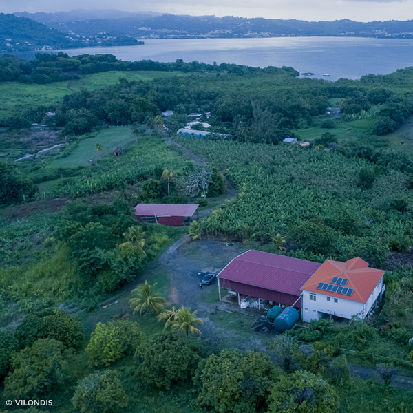 Exploitation agricole Le Robert, photographies aériennes par drone ©Vilondis